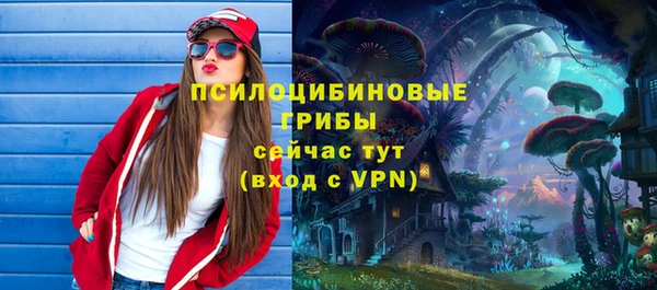 дурь Алзамай