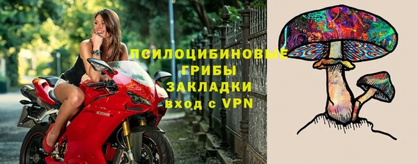 сатива Алексеевка