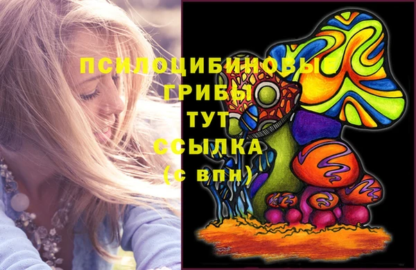 дурь Алзамай