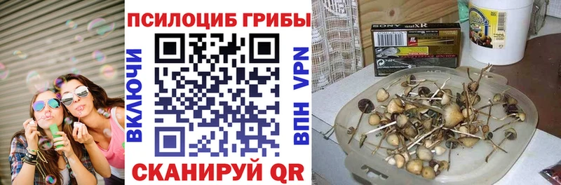 MEGA как зайти  Асино  Псилоцибиновые грибы мухоморы 